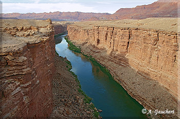 Blick auf den Colorado River